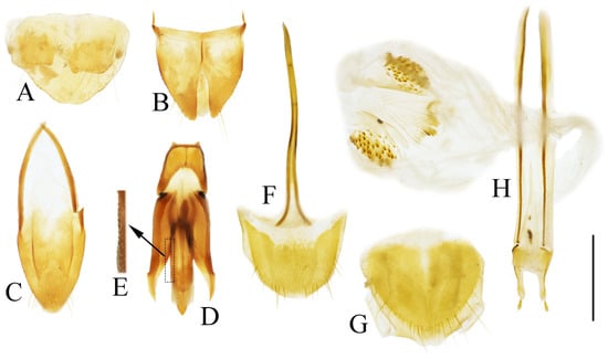 Insects 16 01003 g029