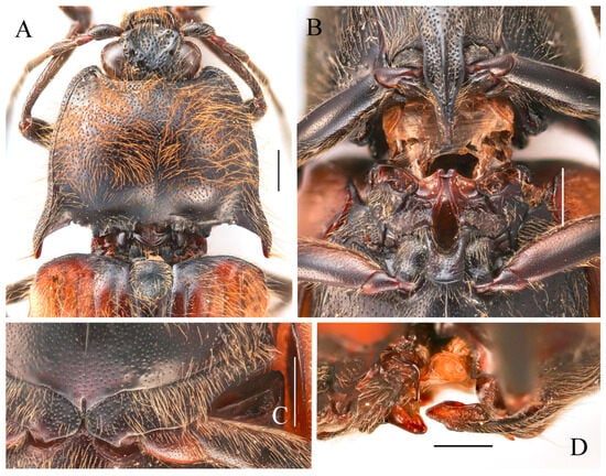 Insects 16 01003 g031