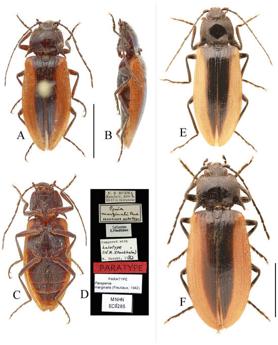 Insects 16 01003 g032