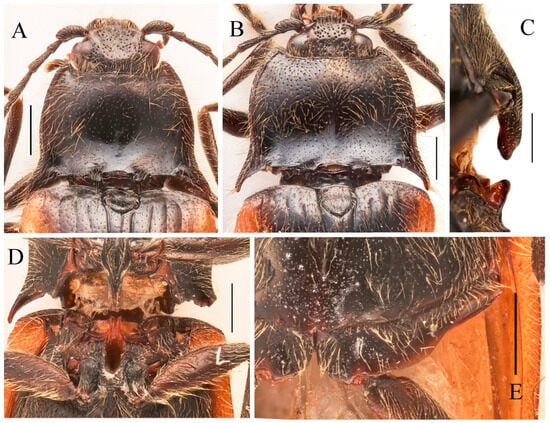 Insects 16 01003 g033