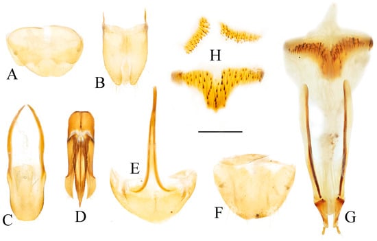 Insects 16 01003 g034