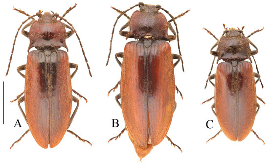 Insects 16 01003 g035