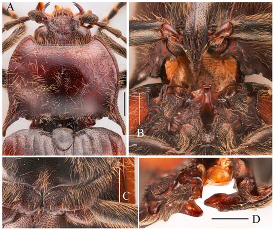 Insects 16 01003 g036