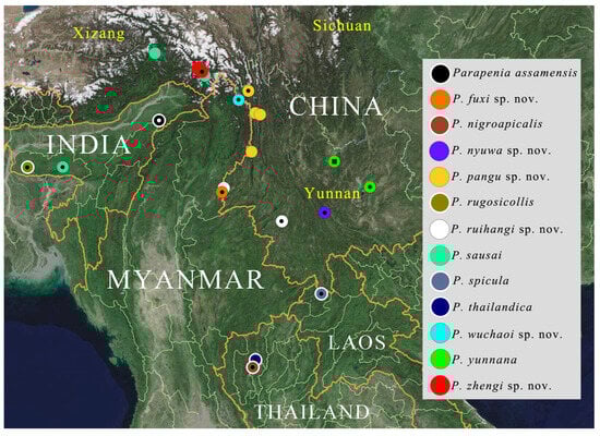 Insects 16 01003 g038