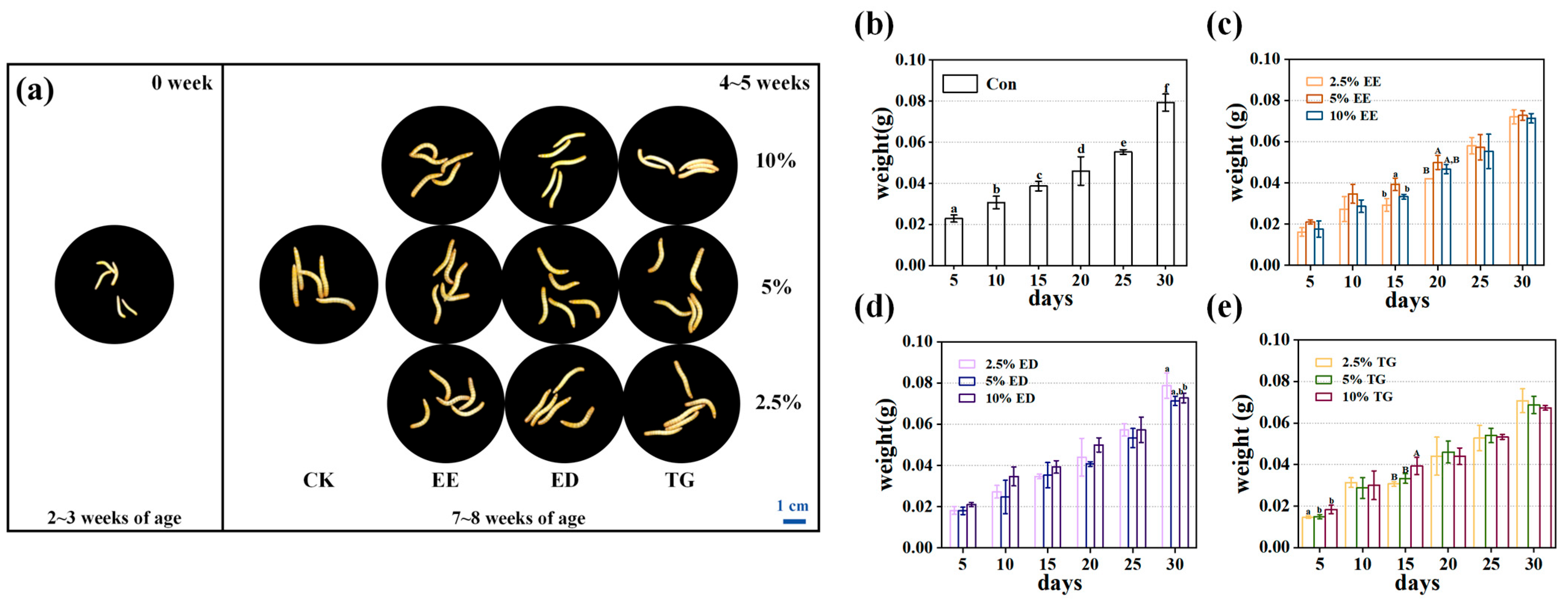 Insects 16 01007 g001