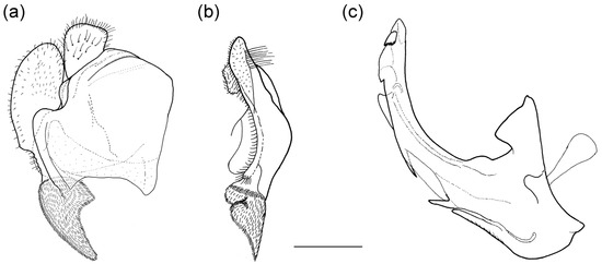 Insects 16 01009 g002