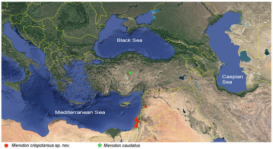 Insects 16 01009 g005