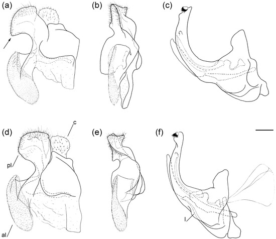 Insects 16 01009 g006