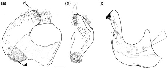 Insects 16 01009 g009