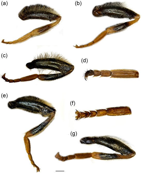 Insects 16 01009 g012