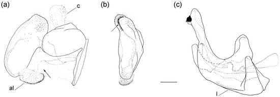 Insects 16 01009 g013