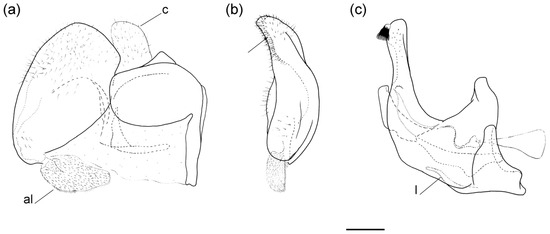 Insects 16 01009 g017