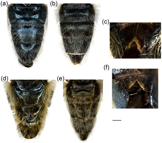 Insects 16 01009 g021