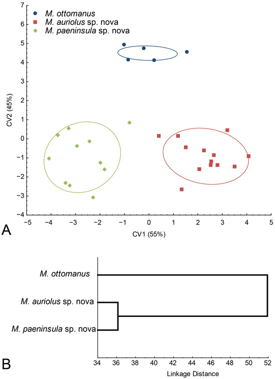 Insects 16 01009 g024