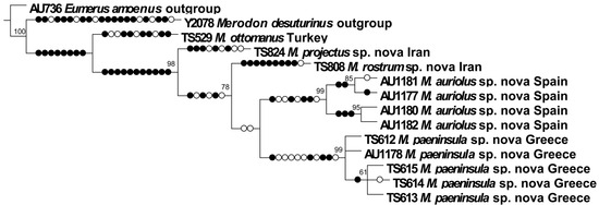 Insects 16 01009 g025