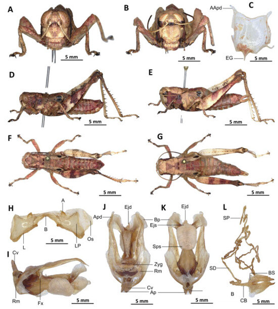 Insects 16 01020 g017