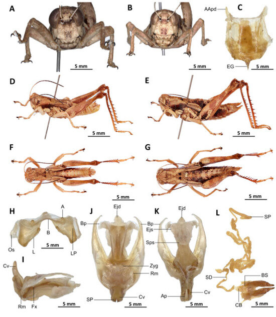 Insects 16 01020 g018