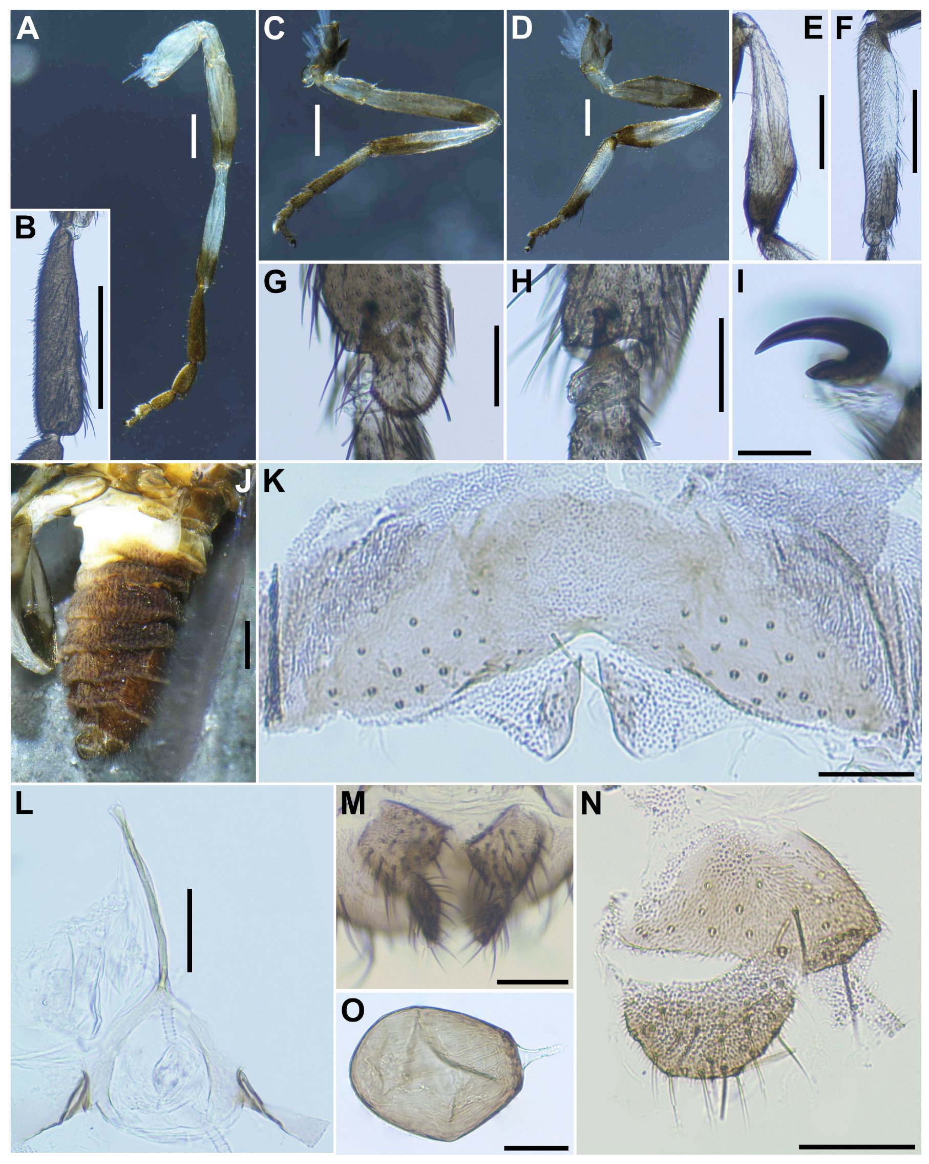 Insects 16 01034 g002