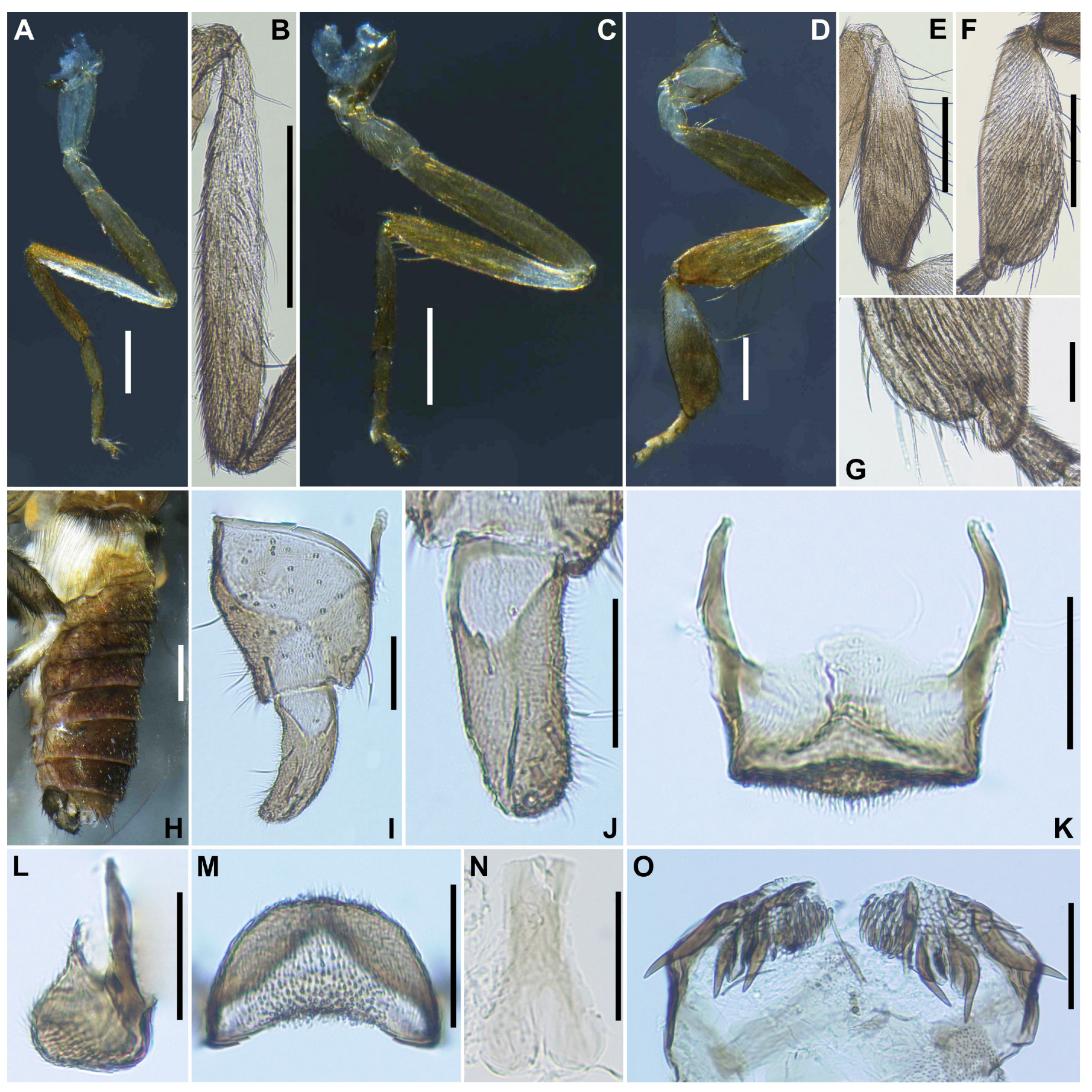Insects 16 01034 g004