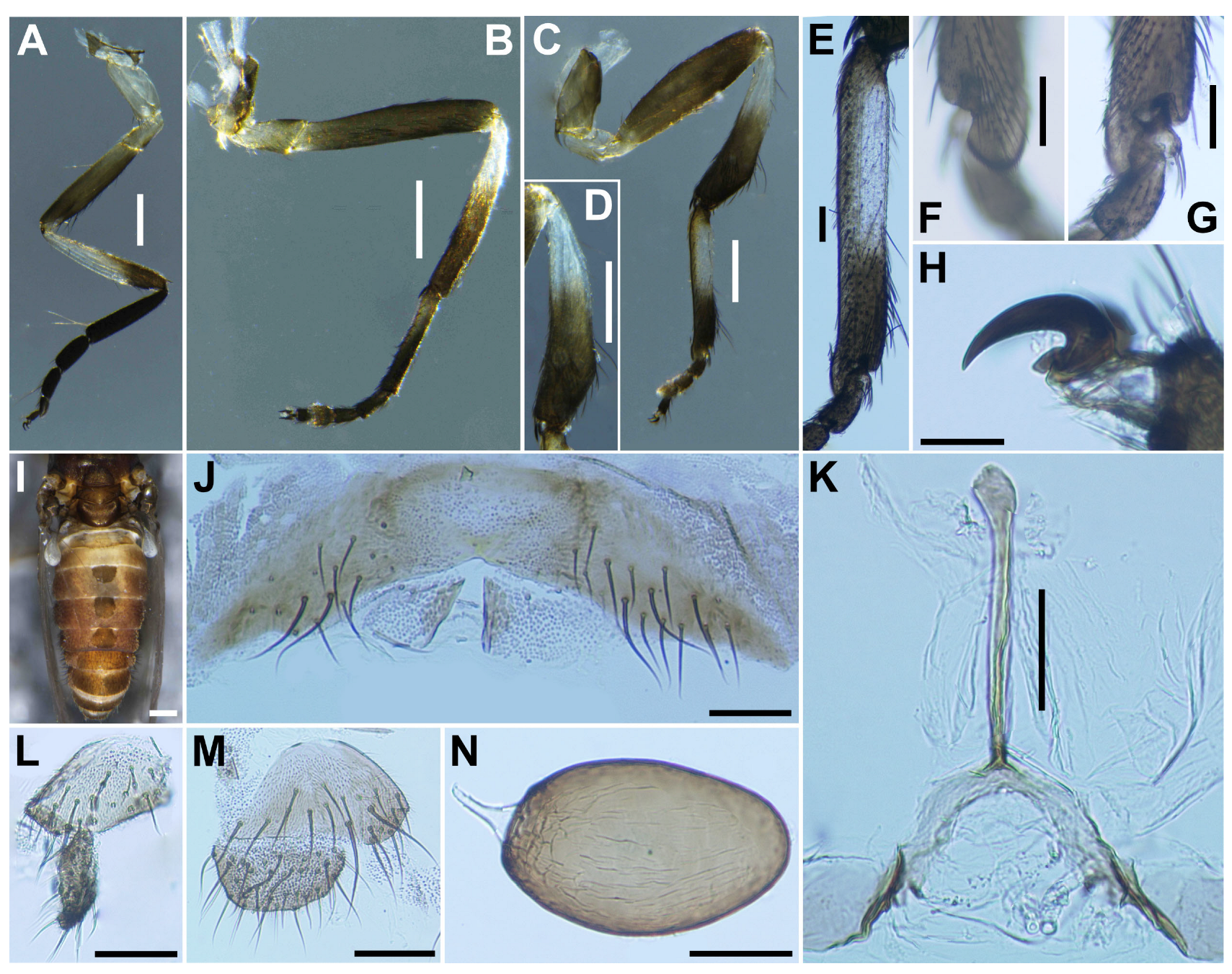 Insects 16 01034 g010