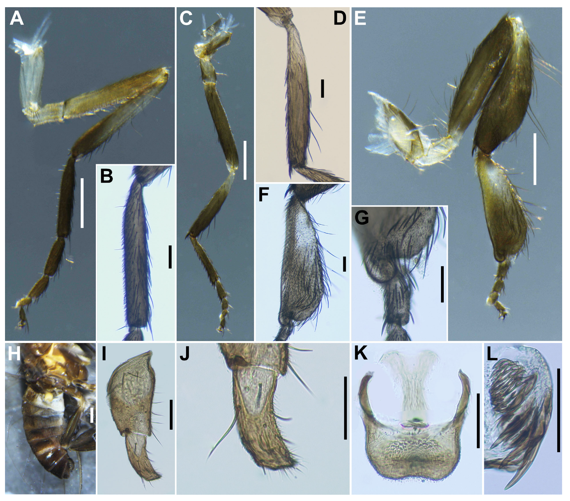 Insects 16 01034 g012