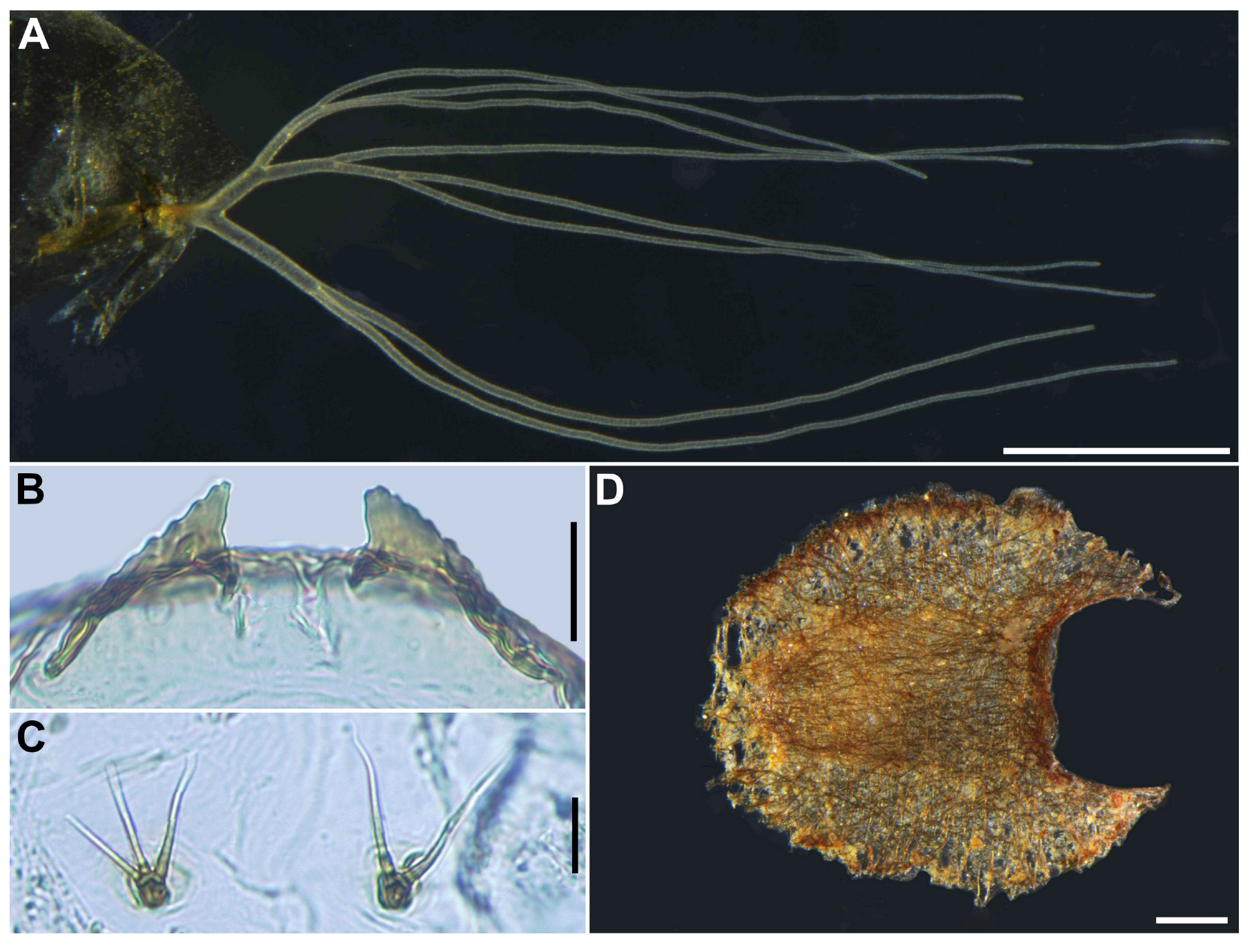 Insects 16 01034 g014