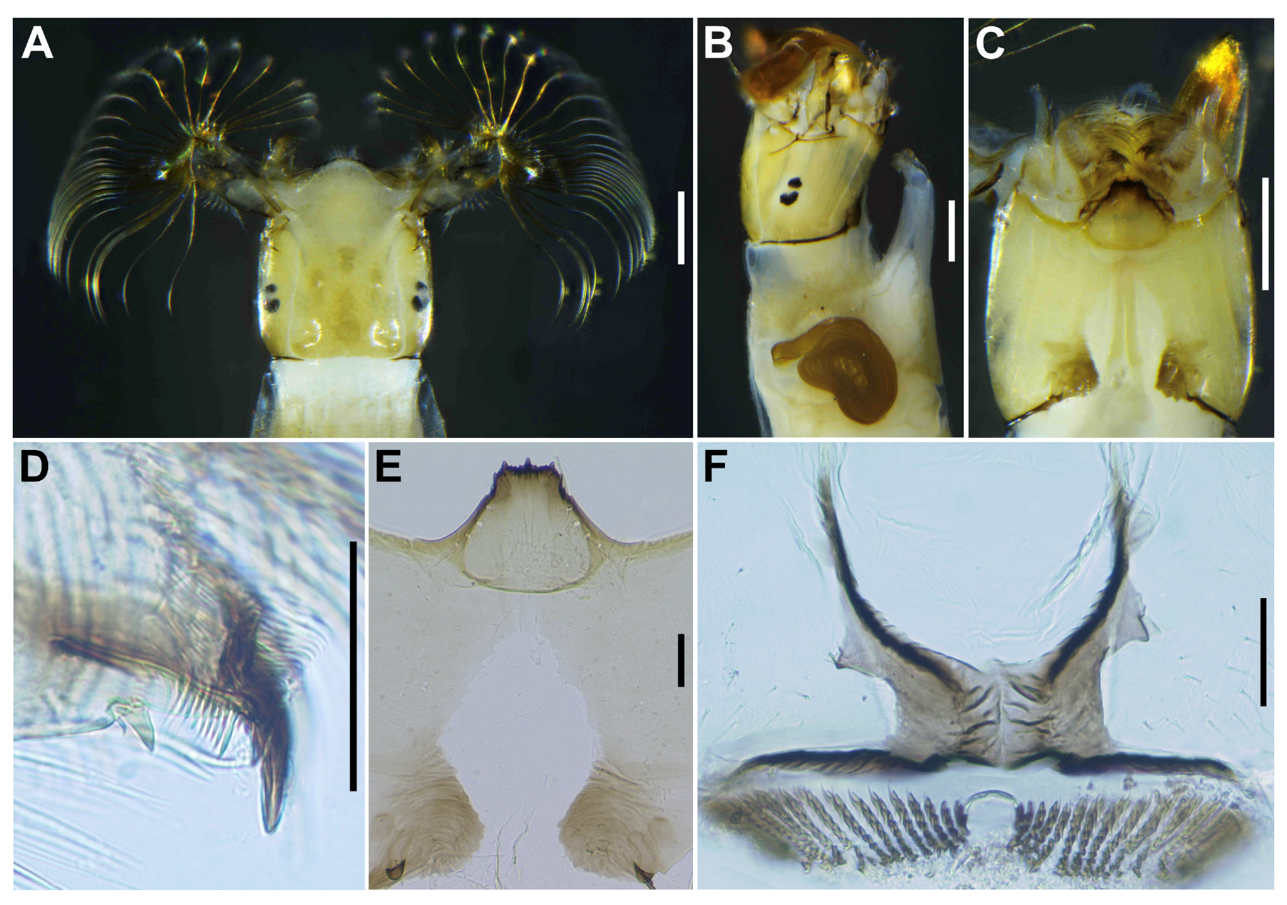 Insects 16 01034 g016