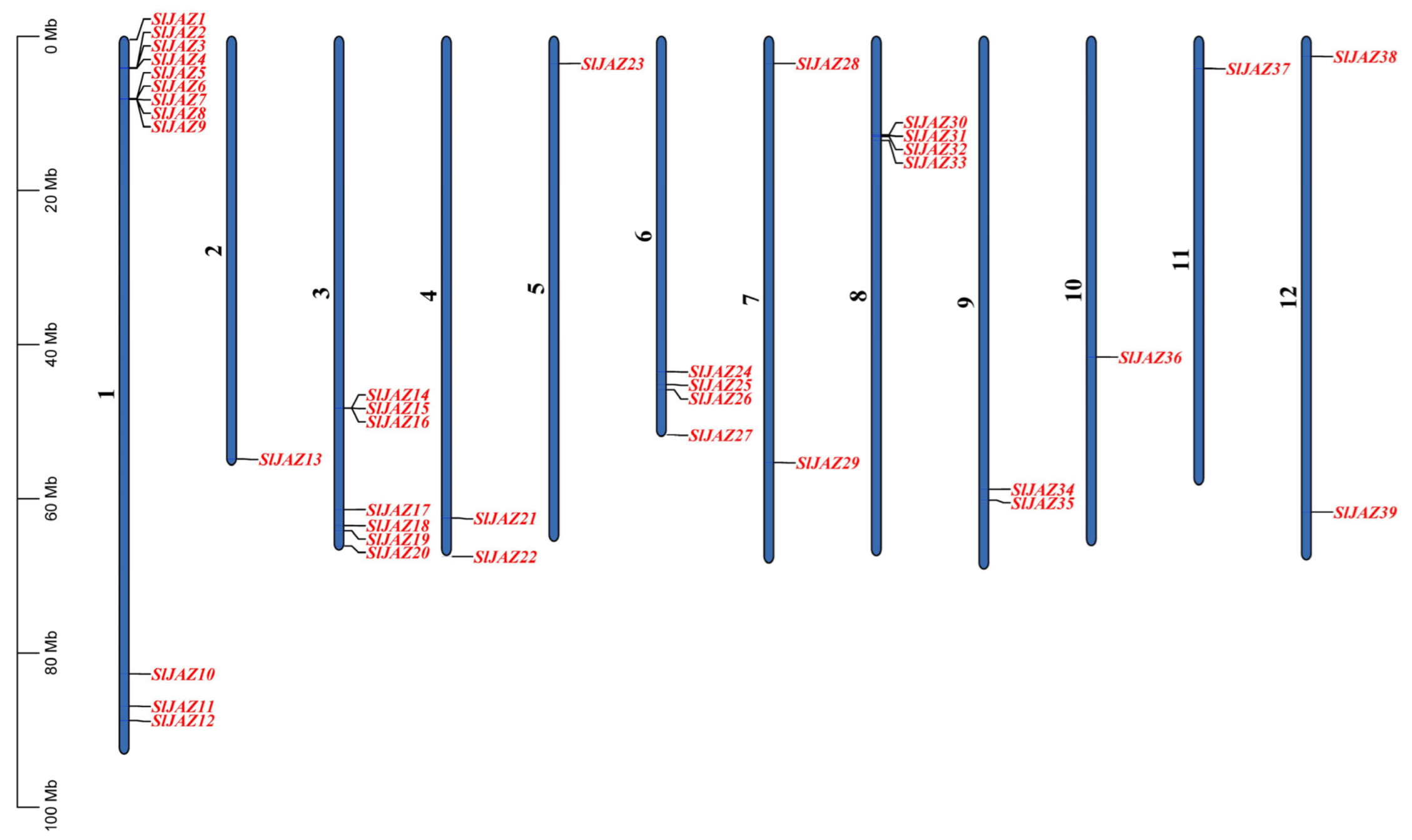 Insects 16 01046 g001 Insects 16 01046 g001