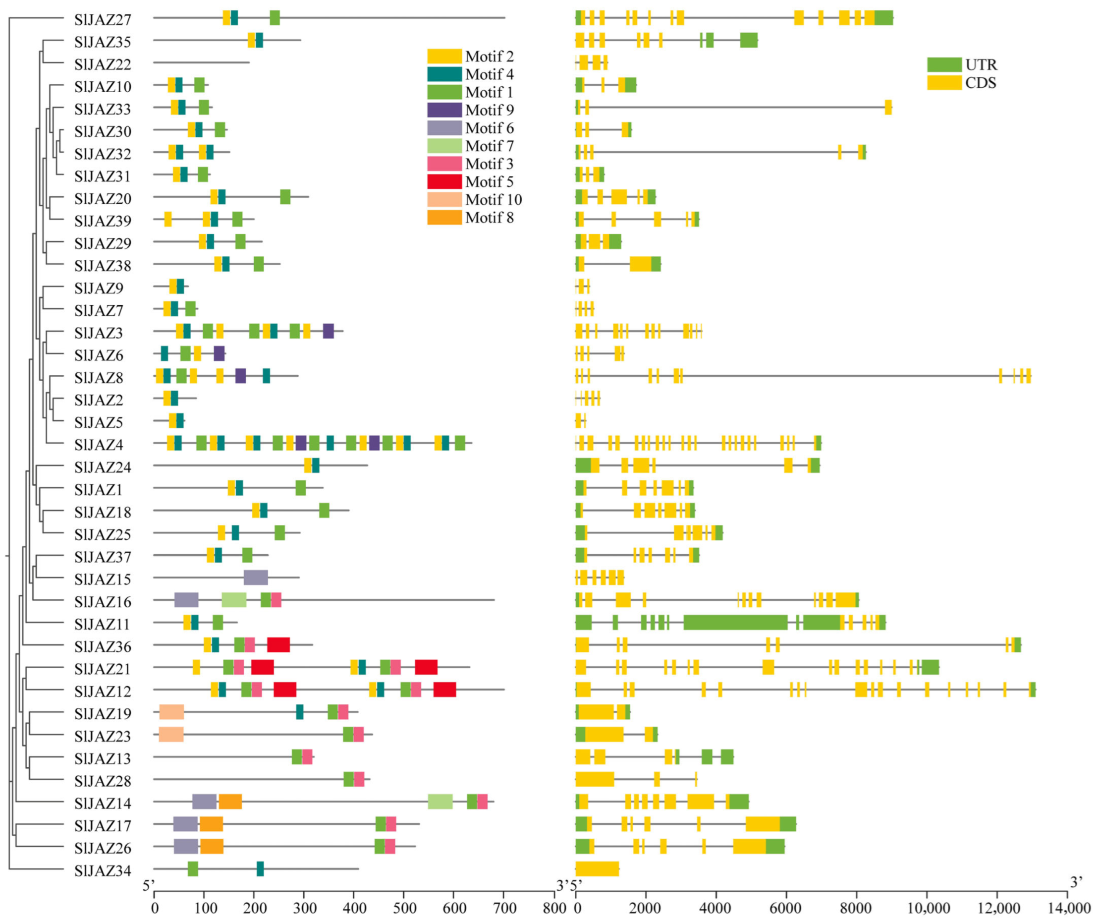 Insects 16 01046 g003 Insects 16 01046 g003