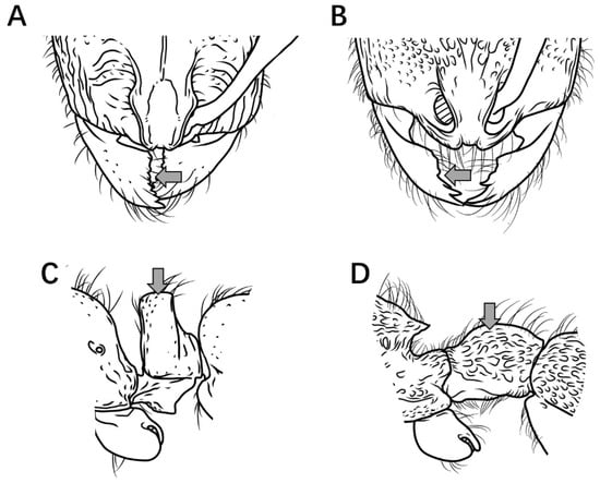 Insects 16 01060 g002