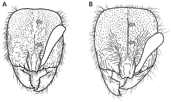 Insects 16 01060 g005