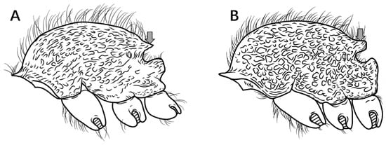 Insects 16 01060 g009