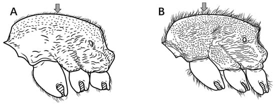 Insects 16 01060 g010