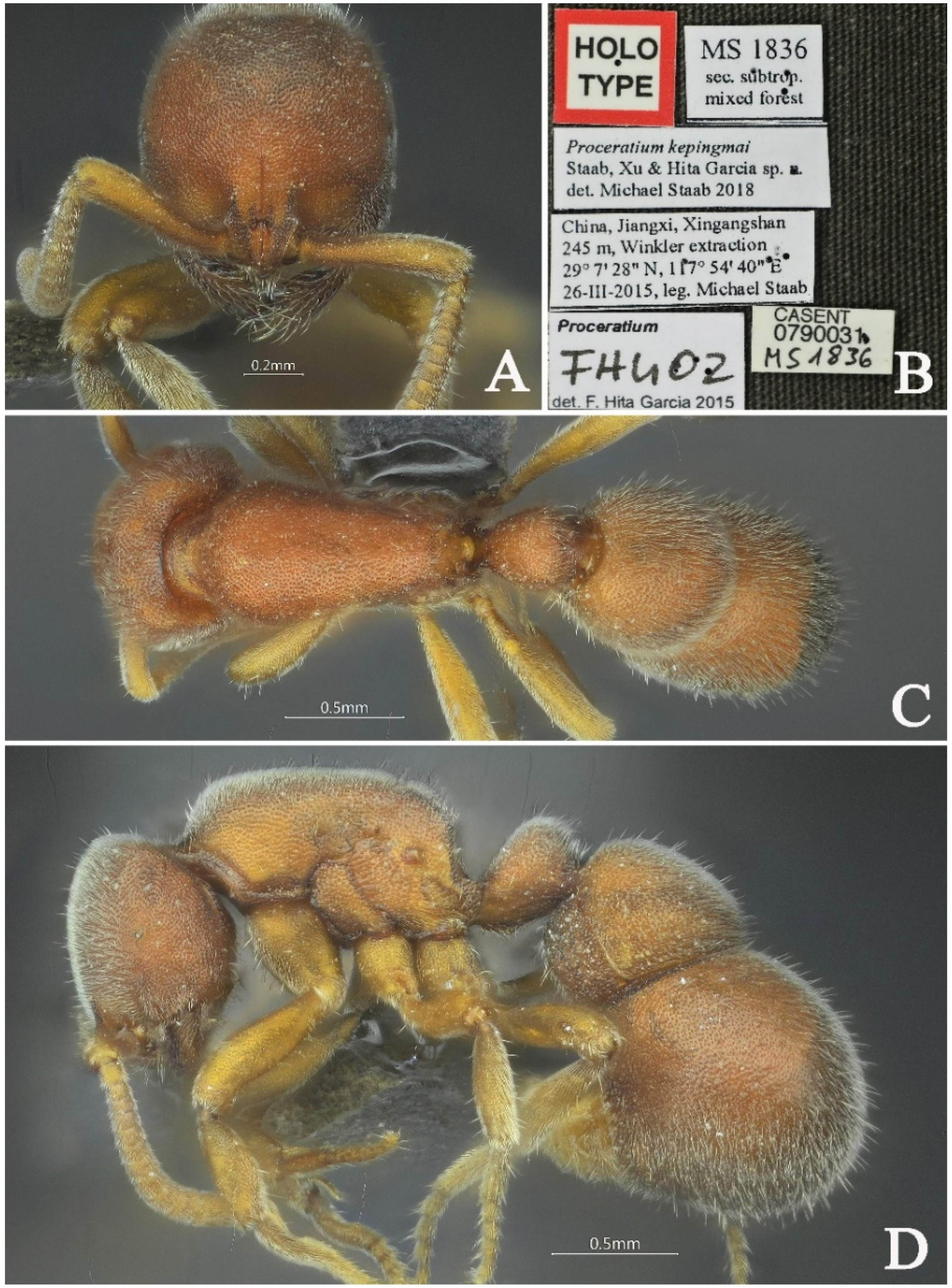 Insects 16 01060 g022 Insects 16 01060 g022