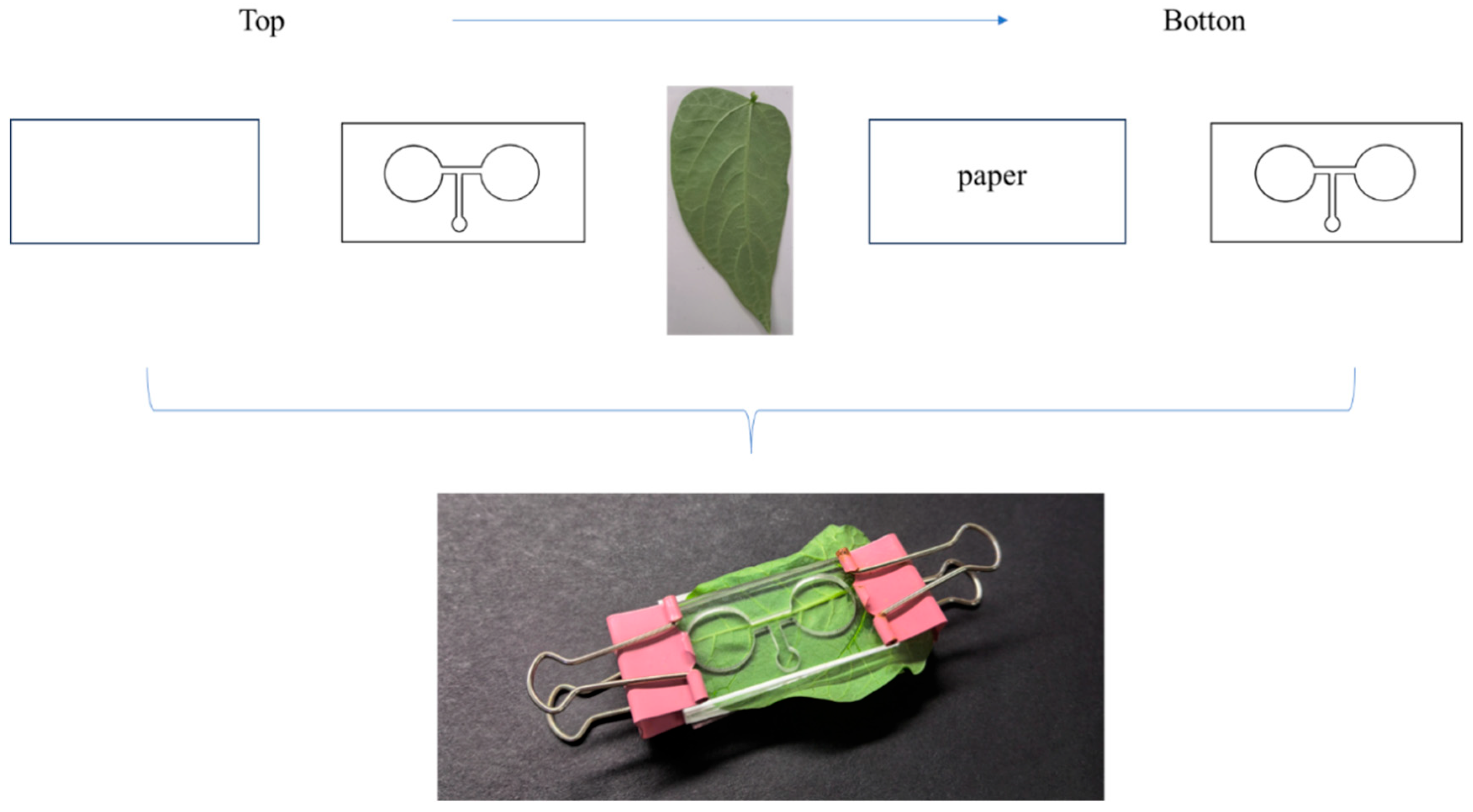 Insects 16 01069 g001