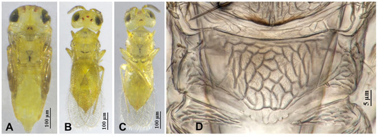 Insects 16 01070 g007