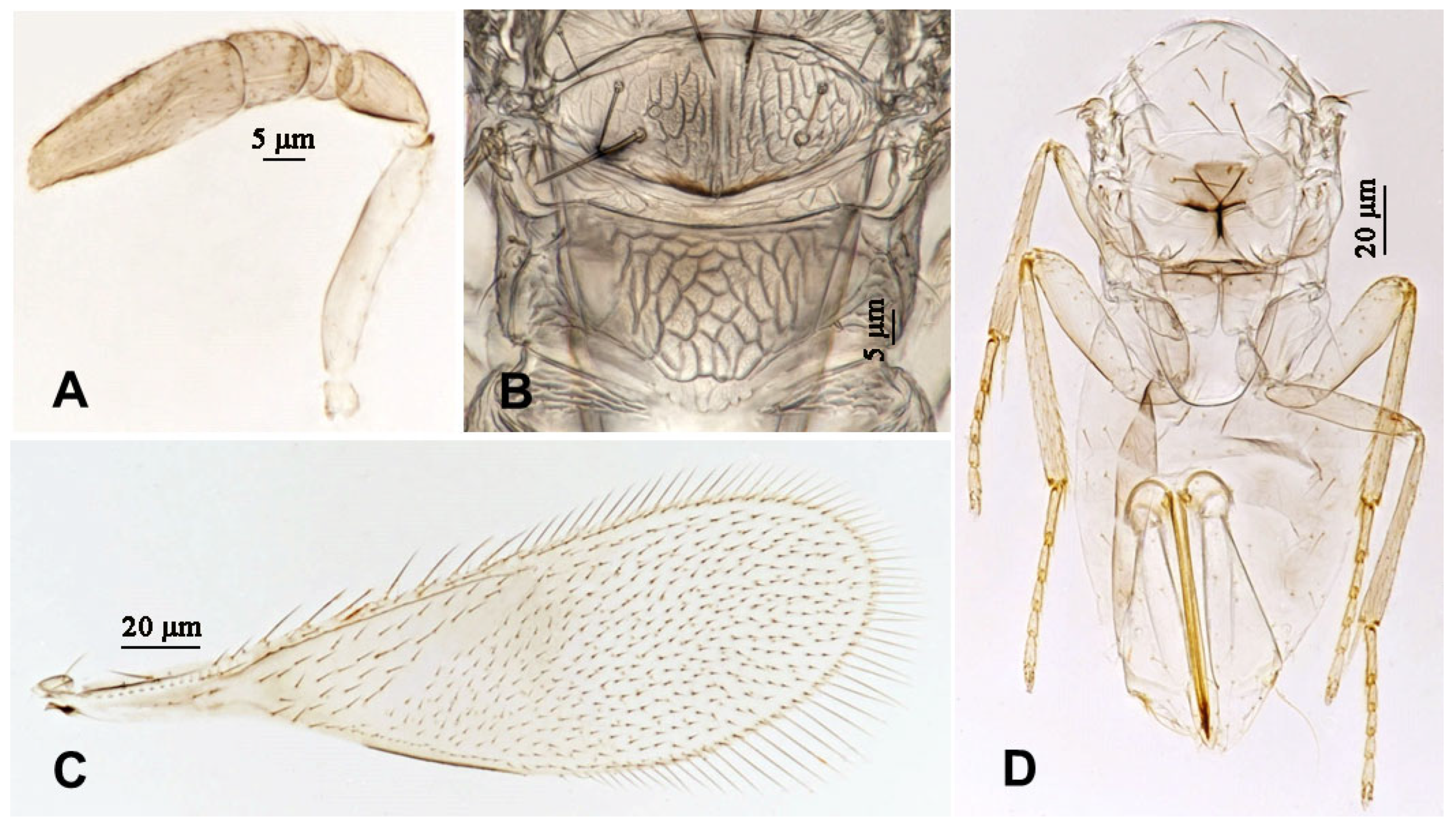 Insects 16 01070 g008