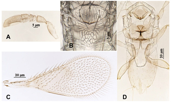 Insects 16 01070 g010