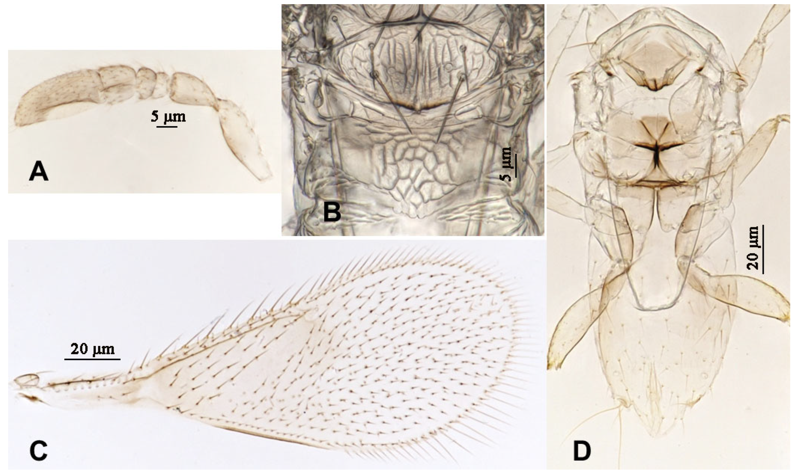 Insects 16 01070 g010