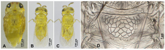 Insects 16 01070 g011