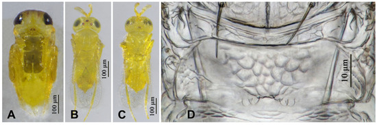 Insects 16 01070 g013