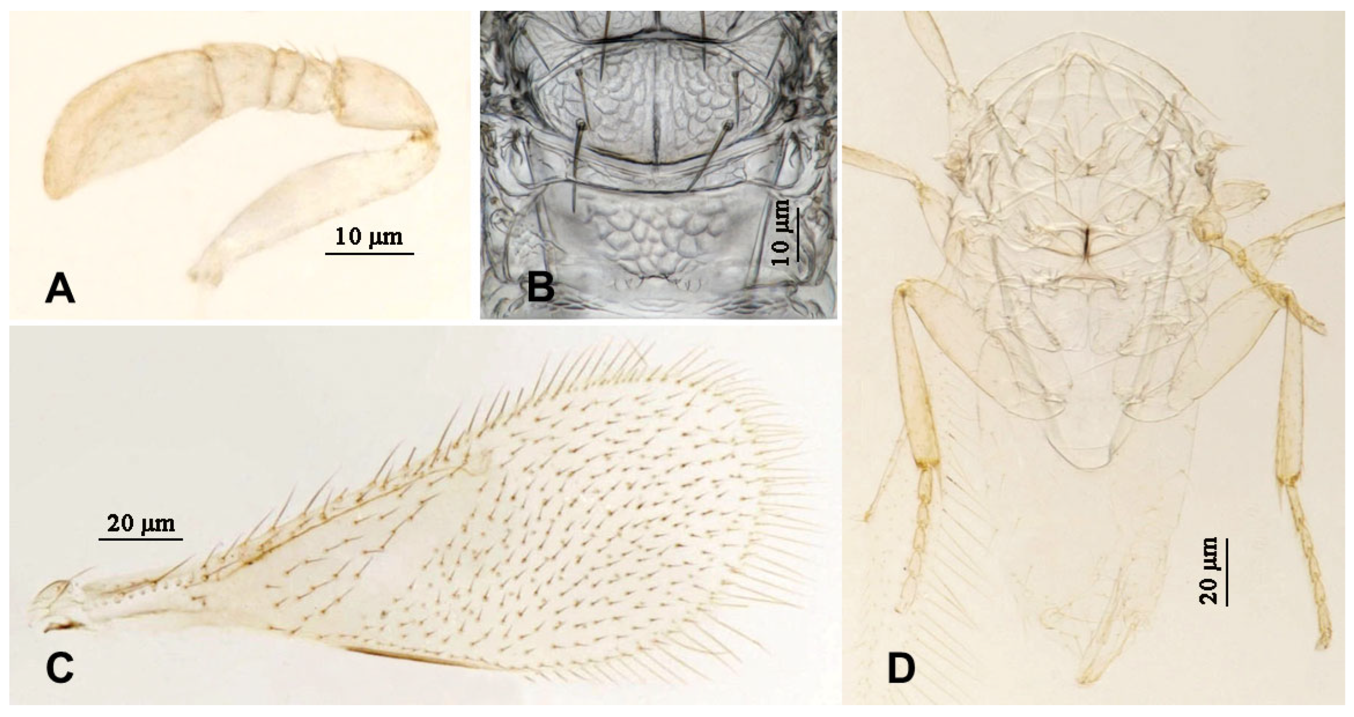 Insects 16 01070 g014