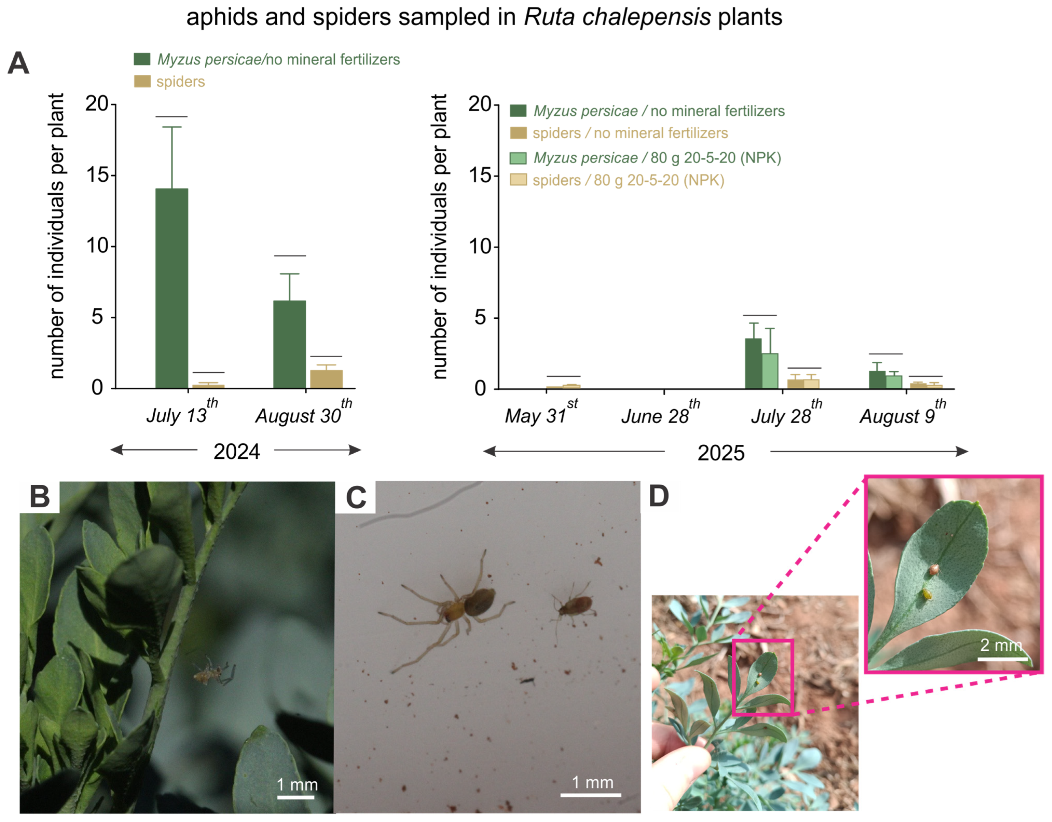 Insects 16 01088 g003 Insects 16 01088 g003
