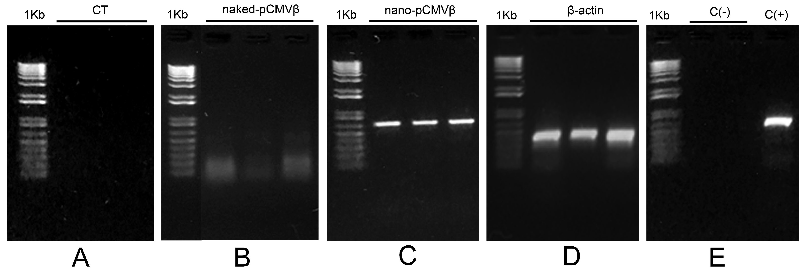 Insects 16 01095 g002