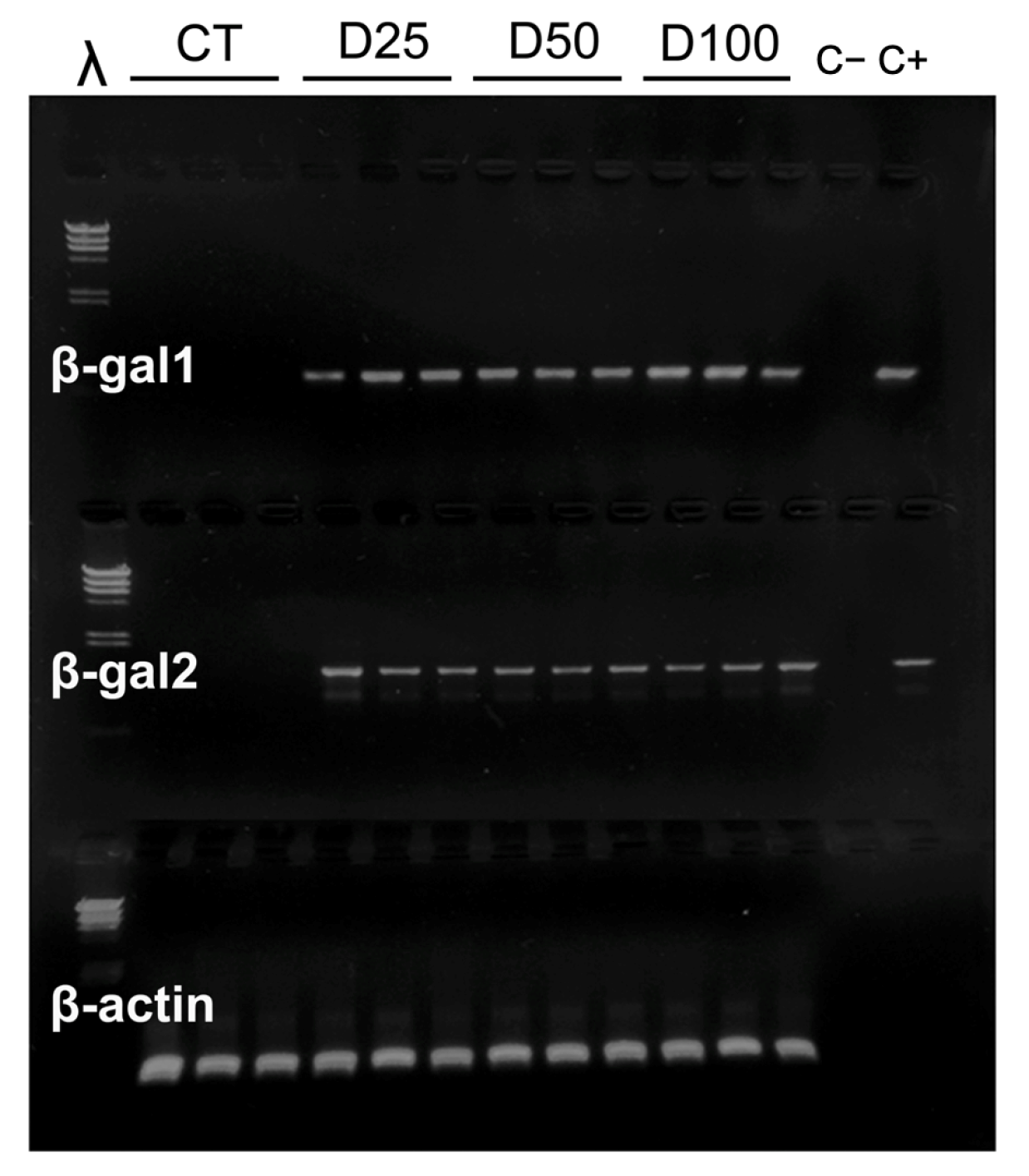 Insects 16 01095 g003