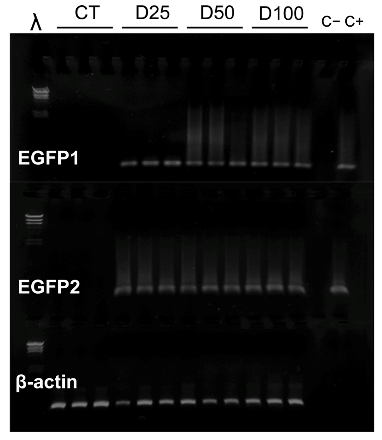 Insects 16 01095 g004