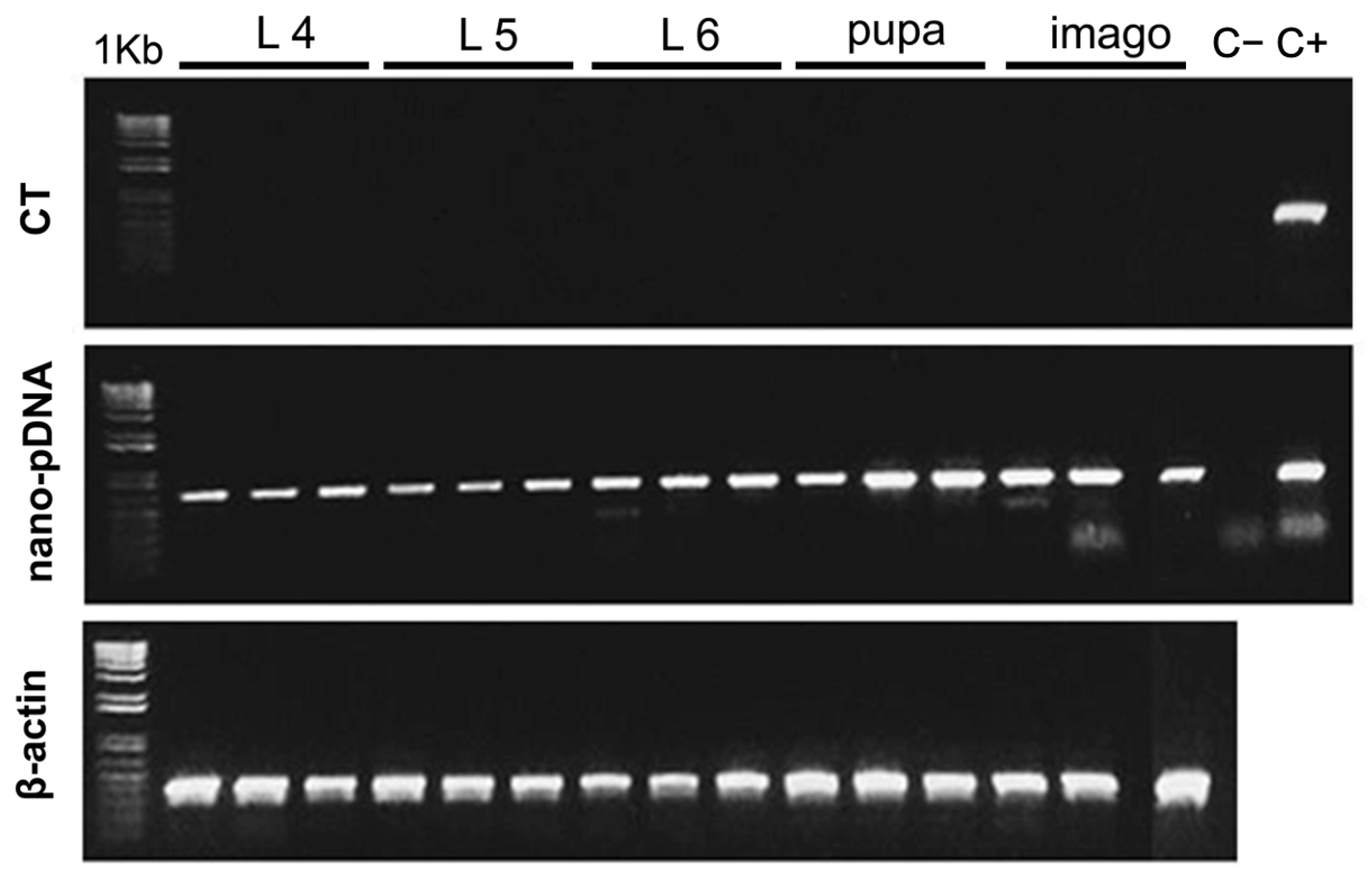 Insects 16 01095 g005
