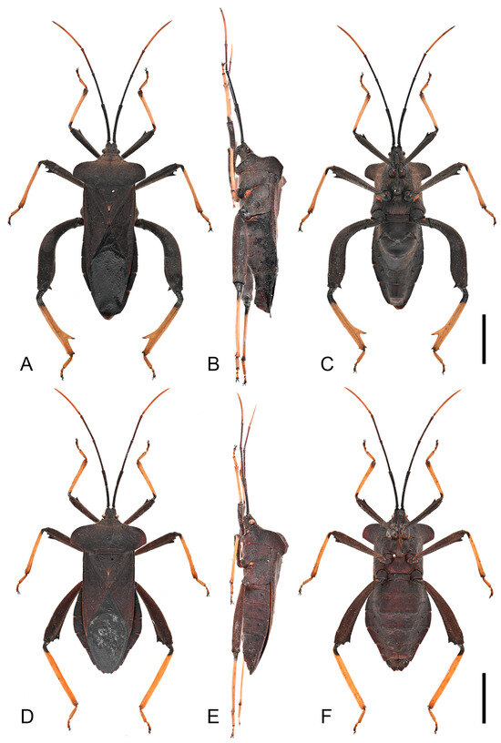 Insects 16 01099 g003