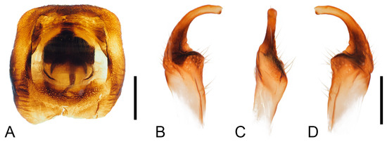 Insects 16 01099 g005