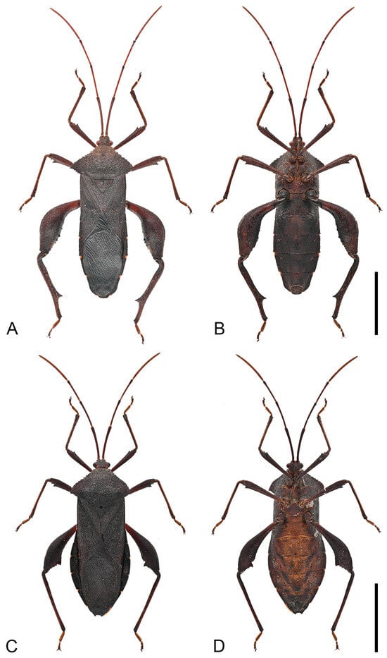 Insects 16 01099 g007